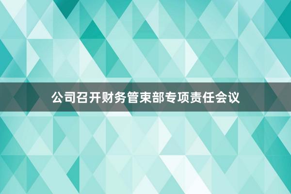 公司召开财务管束部专项责任会议